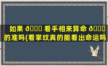 如果 🐞 看手相来算命 🐎 算的准吗(看掌纹真的能看出命运吗)